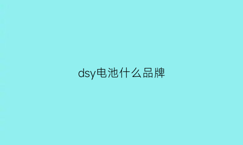 dsy电池什么品牌(dhdy电池)