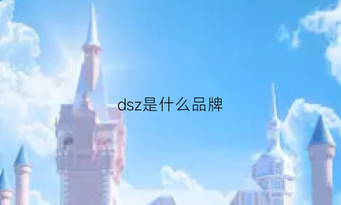 dsz是什么品牌