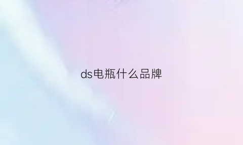 ds电瓶什么品牌