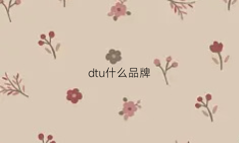 dtu什么品牌(dtu有哪些品牌)