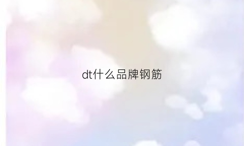 dt什么品牌钢筋(钢筋dg是哪个厂家)