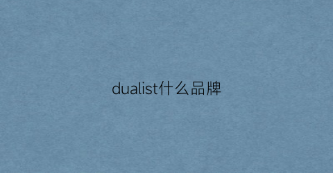 dualist什么品牌(dual是什么牌子)