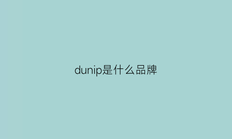 dunip是什么品牌(duno是什么牌子)