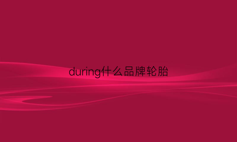 during什么品牌轮胎(duringon轮胎是哪里产的)