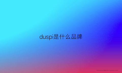 duspi是什么品牌(dusun是什么牌子)