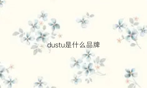 dustu是什么品牌