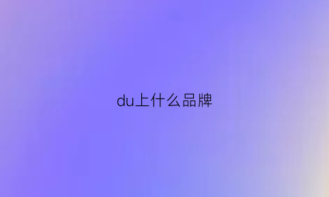 du上什么品牌(dudun什么牌子)