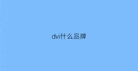 dvi什么品牌