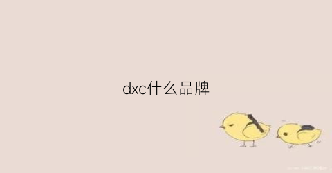 dxc什么品牌(dx什么档次)