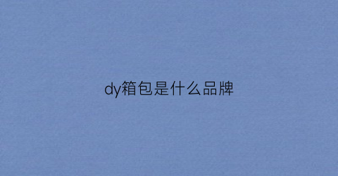 dy箱包是什么品牌(dkny是什么牌子包包价格表)