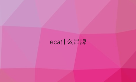 eca什么品牌(ecra是什么品牌)