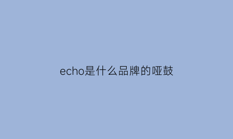 echo是什么品牌的哑鼓