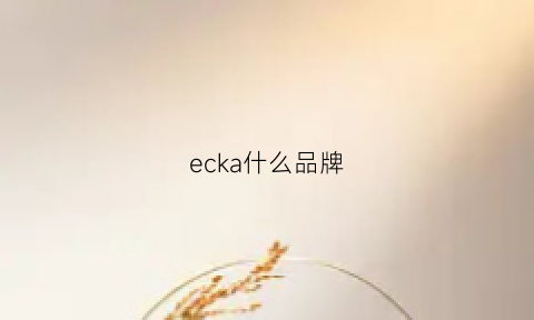 ecka什么品牌(ecaca是什么牌子)