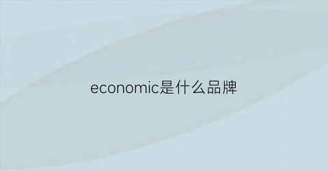 economic是什么品牌(economic是什么意思中文)