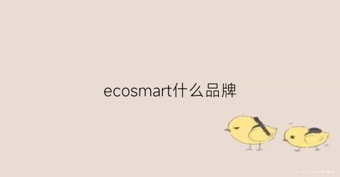 ecosmart什么品牌(econ牌子)