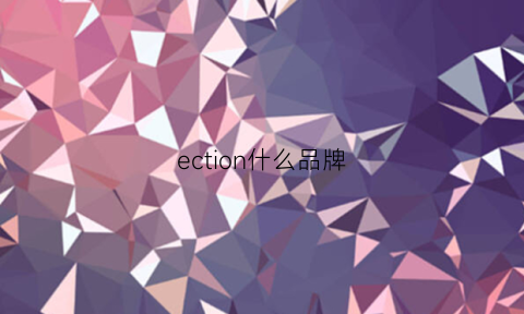 ection什么品牌(ec是什么品牌)