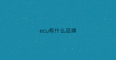 ecu有什么品牌(ecu什么品牌好)