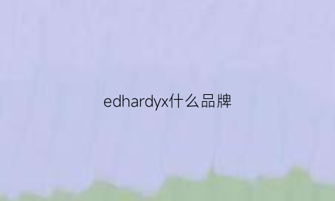 edhardyx什么品牌(edhardyx什么档次)