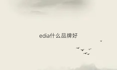 edia什么品牌好(edi什么品牌的好)