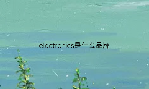 electronics是什么品牌