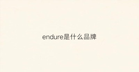 endure是什么品牌(end是什么牌子)