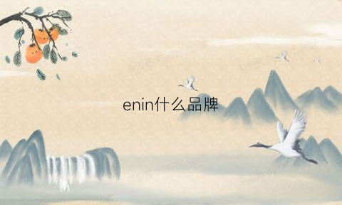 enin什么品牌