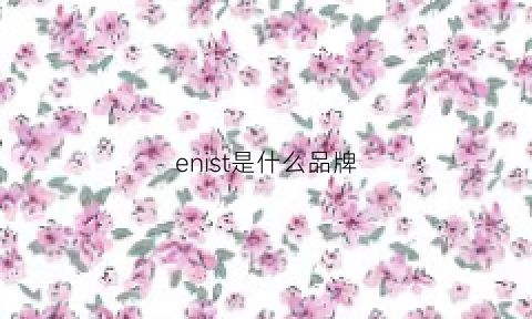 enist是什么品牌