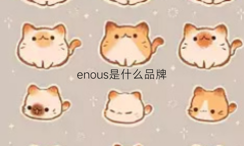 enous是什么品牌(enjoume是什么牌子)