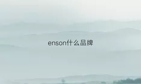 enson什么品牌(enxen什么品牌)