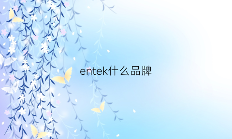 entek什么品牌(enesco)