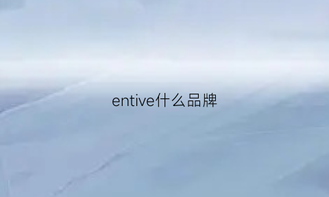 entive什么品牌(envoi是什么品牌)