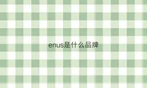 enus是什么品牌(ensso是什么牌子)