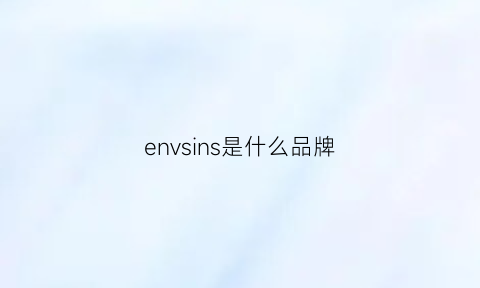 envsins是什么品牌(ensso是什么牌子)