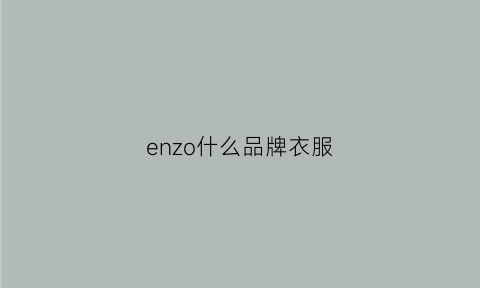 enzo什么品牌衣服