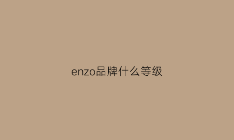 enzo品牌什么等级(enzo属于几线品牌)