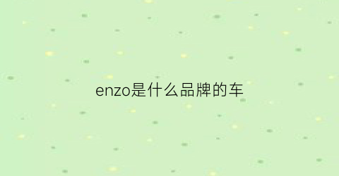 enzo是什么品牌的车(enzo是什么国家的牌子)