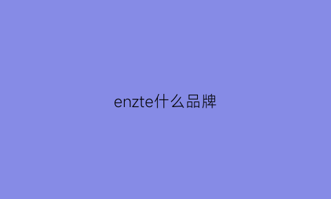 enzte什么品牌(enzo是什么品牌)