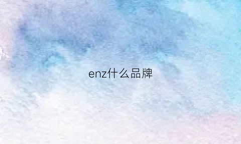 enz什么品牌(enzoo什么品牌)