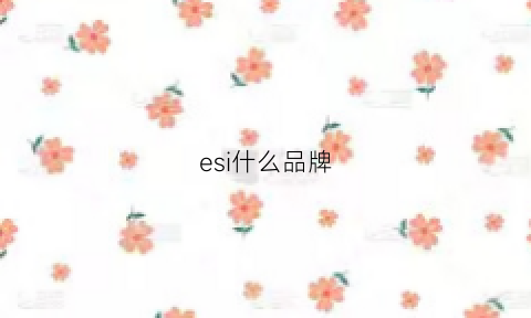 esi什么品牌(es是啥品牌)