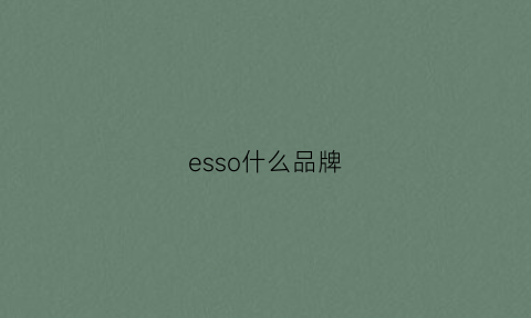 esso什么品牌(essui是什么品牌价位)