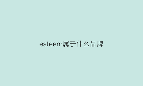 esteem属于什么品牌(estyle什么品牌)