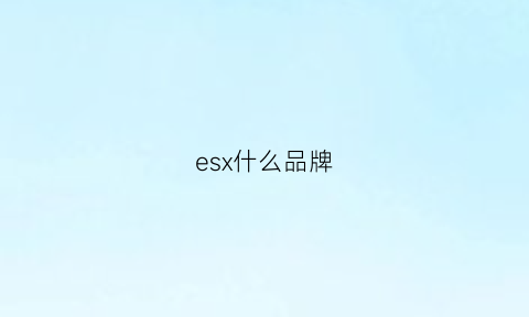 esx什么品牌(esx是什么)