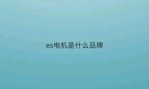 es电机是什么品牌(ec是什么电机)