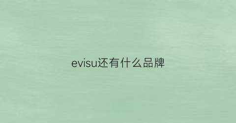 evisu还有什么品牌(evisu档次)