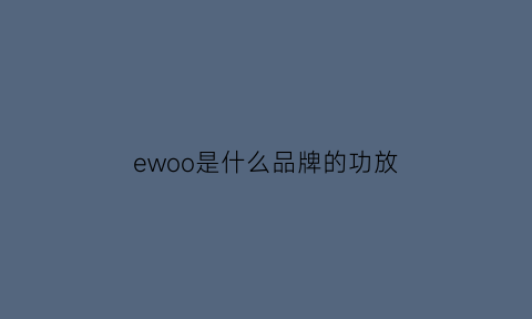 ewoo是什么品牌的功放(ewe是什么牌子功放)