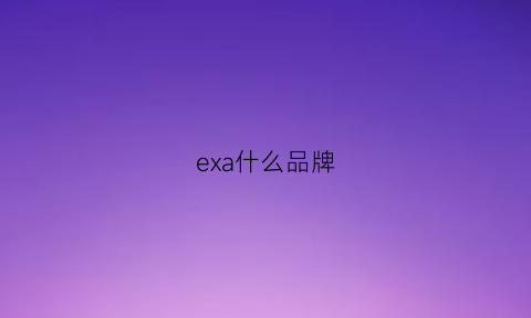 exa什么品牌(exr什么牌子)