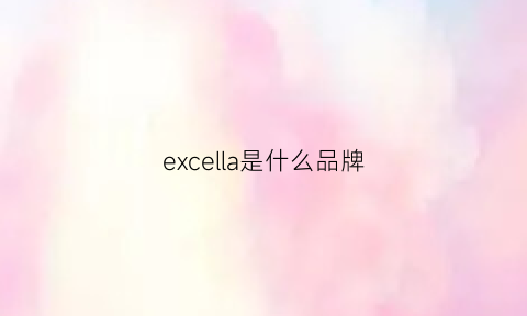 excella是什么品牌(excell是什么牌子的车)