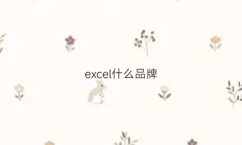 excel什么品牌