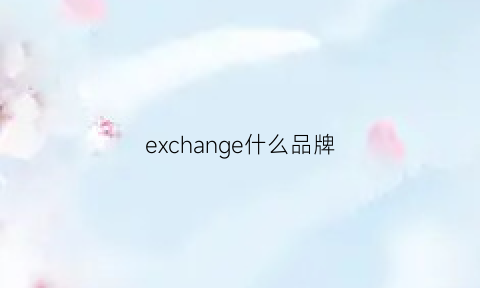 exchange什么品牌(exchanges是什么意思)