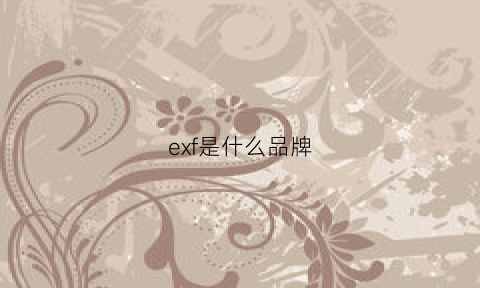 exf是什么品牌(exage是什么牌子)